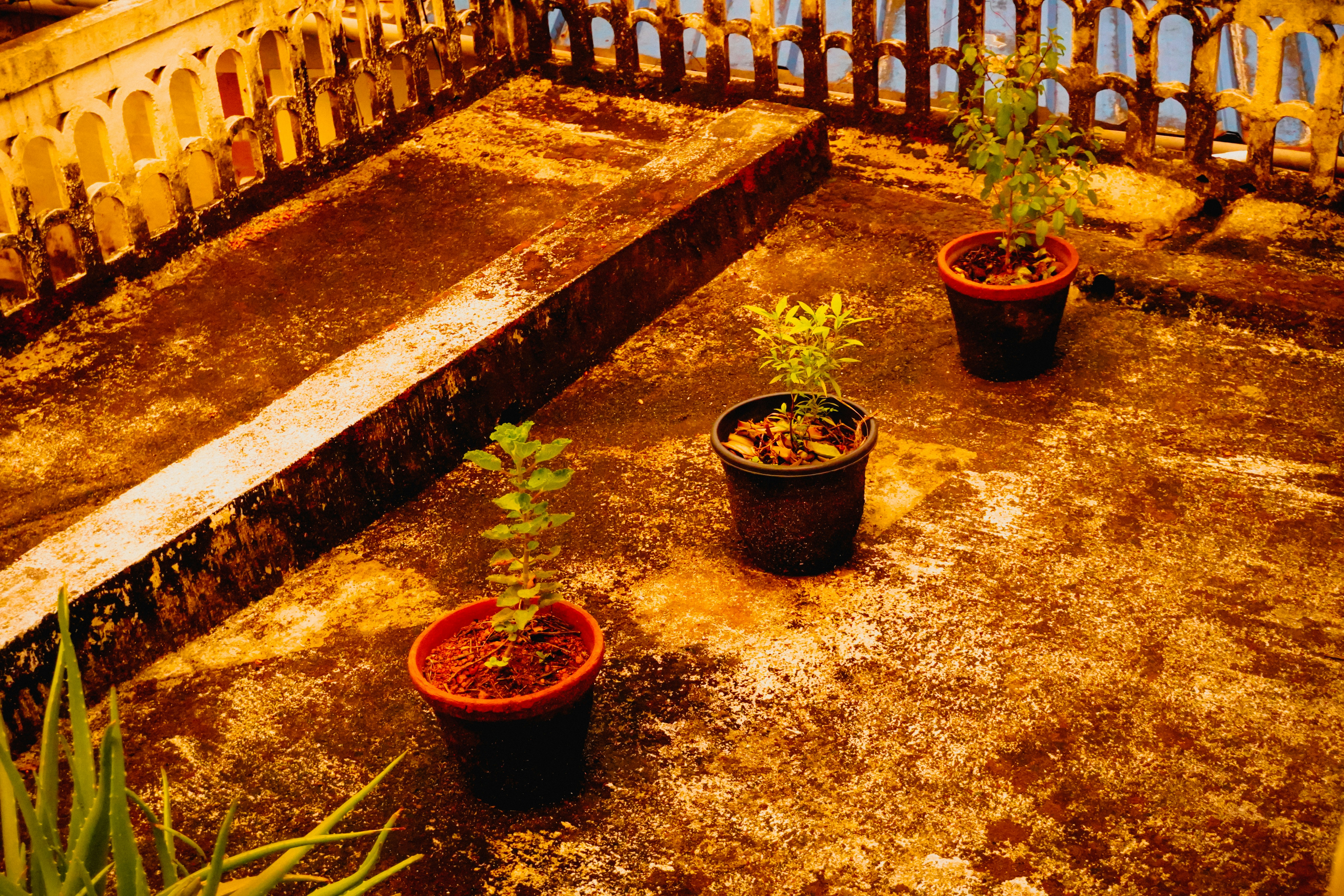 After - terrace garden