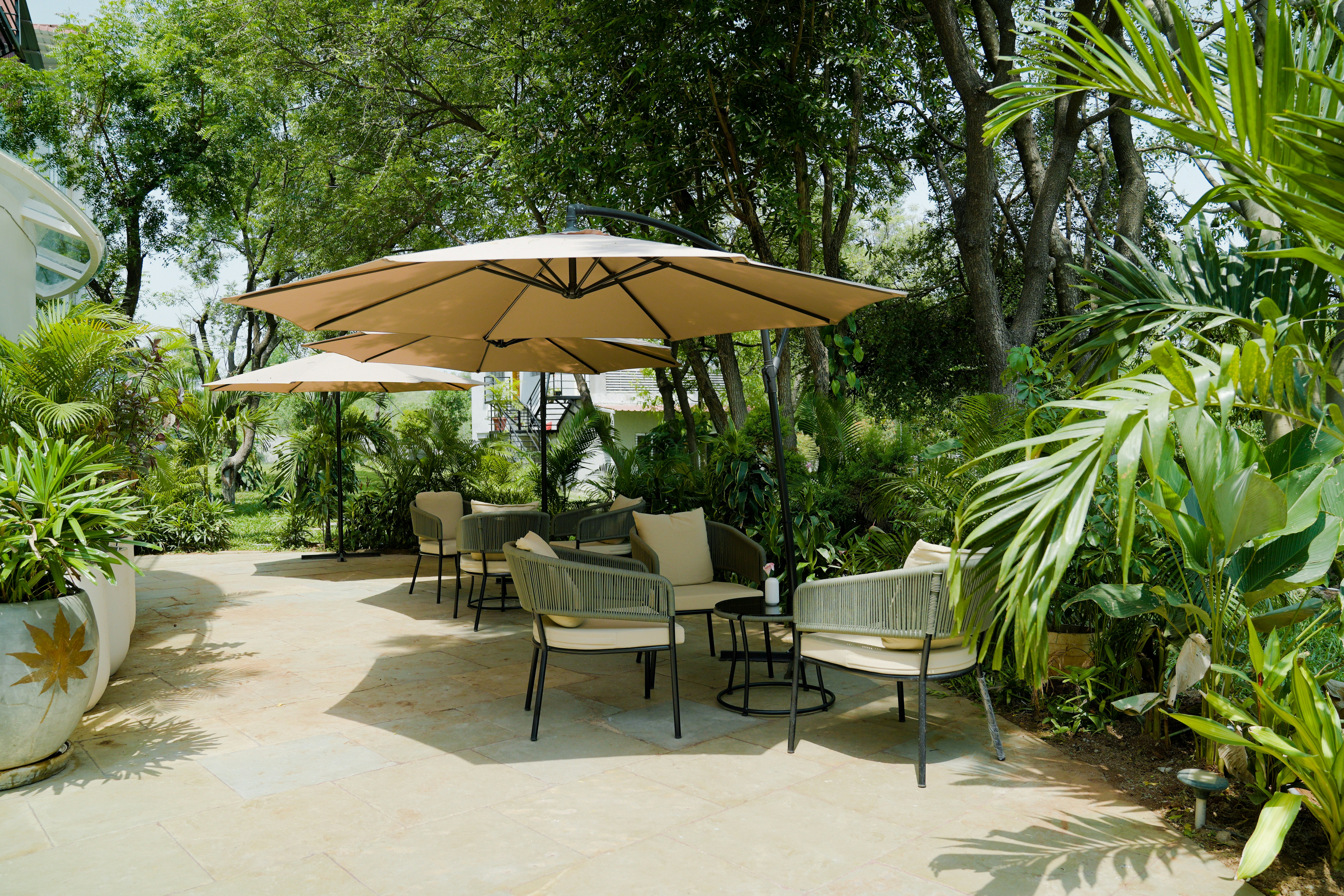 Garden outdoor